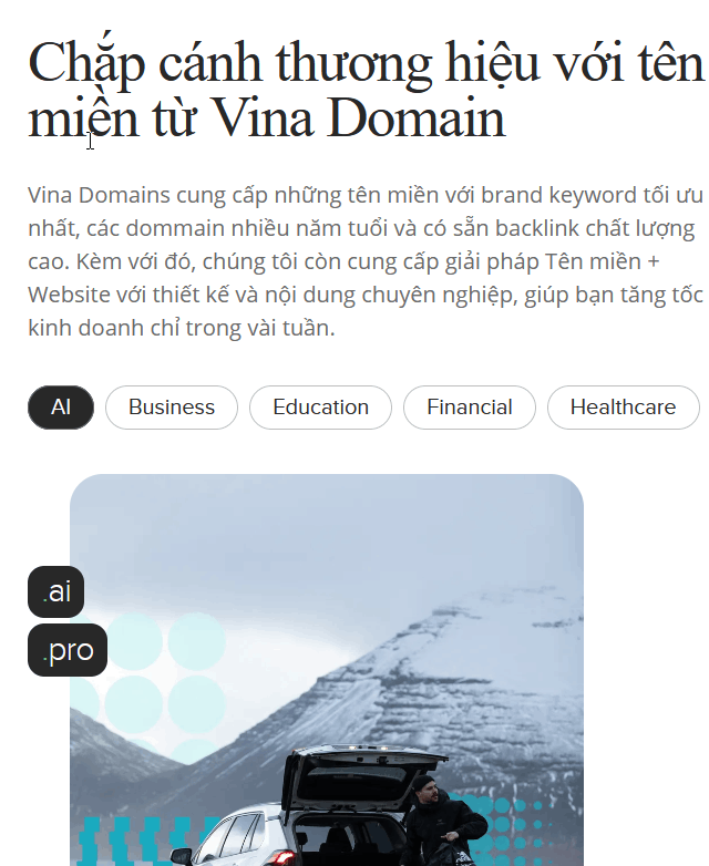 Vinadomain